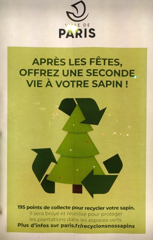 La mairie de Paris nous fait croire que les sapins ont 2 vies