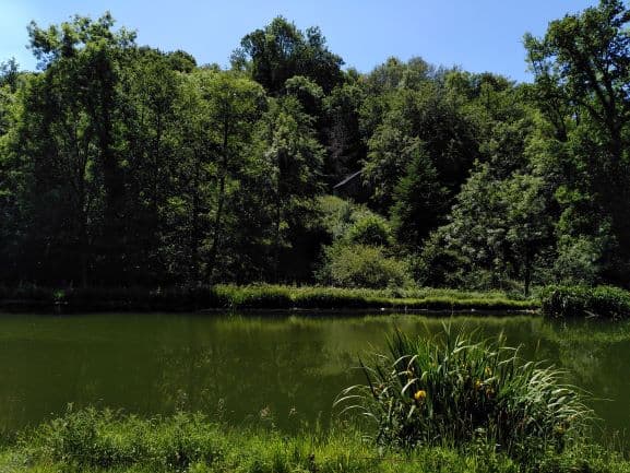 Cabinet d'hypnose dans le Calvados à Pont d'Ouilly et Perrefitte en Cinglais